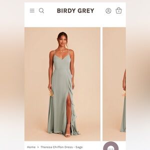 Birdy Grey Theresa Sage Chiffon dress